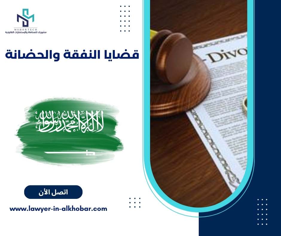 قضايا النفقة والحضانة