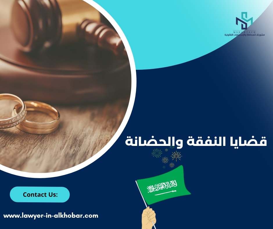 قضايا النفقة والحضانة